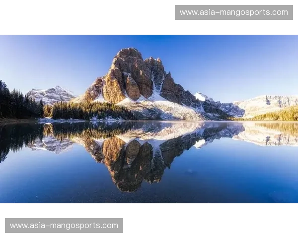 数据徒步：在信息荒野中慢行、发现与重塑未来